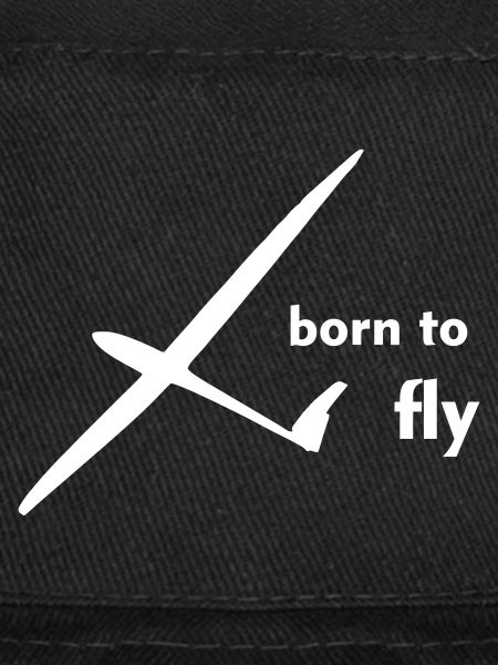 Planeur Planeur Planeur Pilote