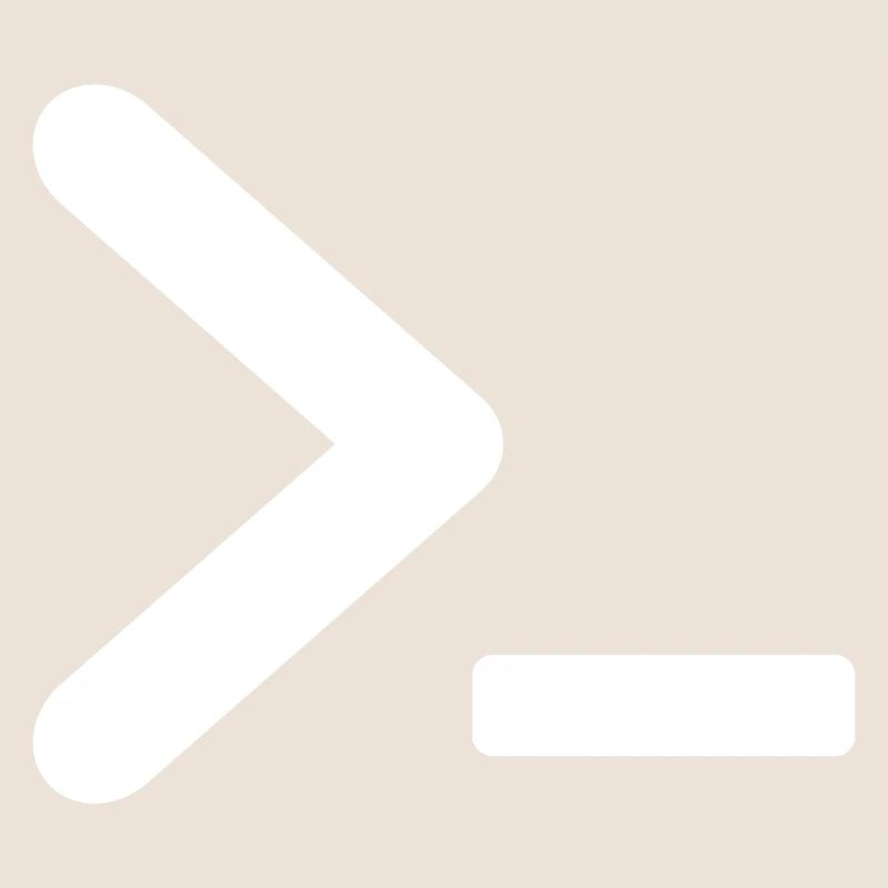 >_ OS Programm prompt