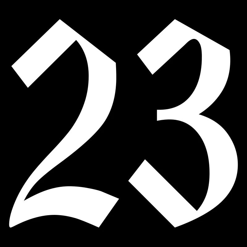 23
