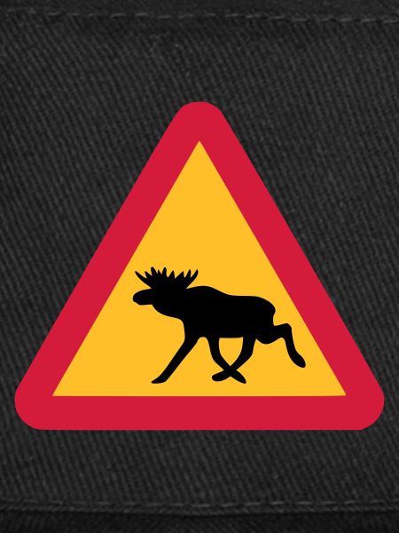 Moose