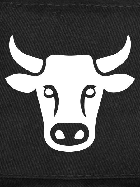 Cow Cattle Head