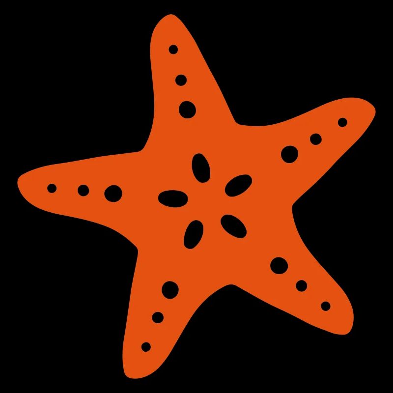 Étoiles de mer starfish