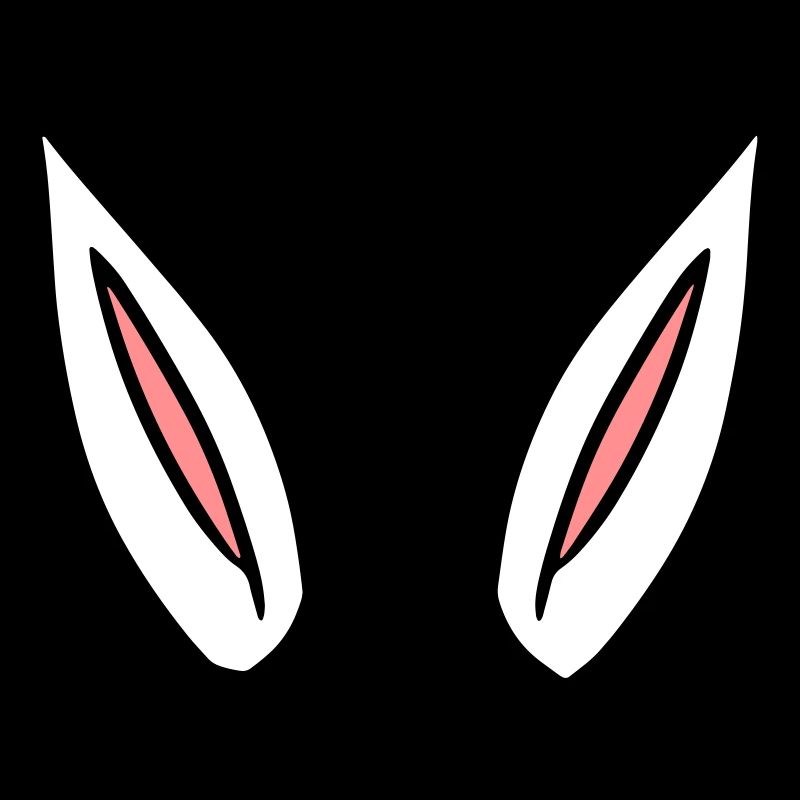 Oreilles de lapin idée de cadeau rabbit ears