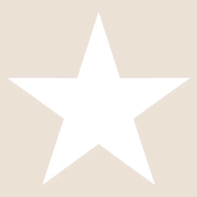 stern symbol icon element star