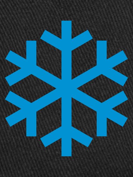 Snowflake Weather Icon Icon
