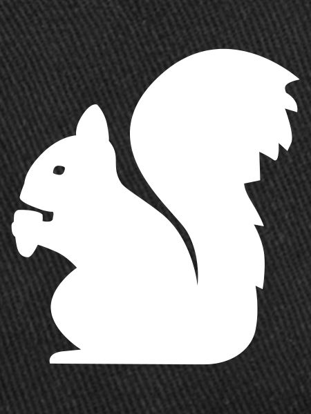 Eichhörnchen