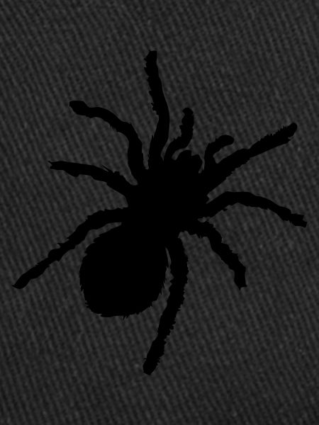 spinne silhouette