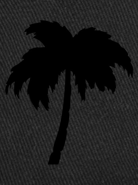 Palm tree