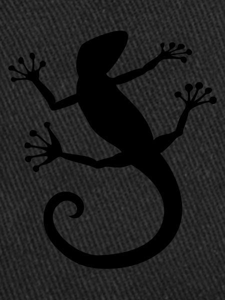 Power animal lizard