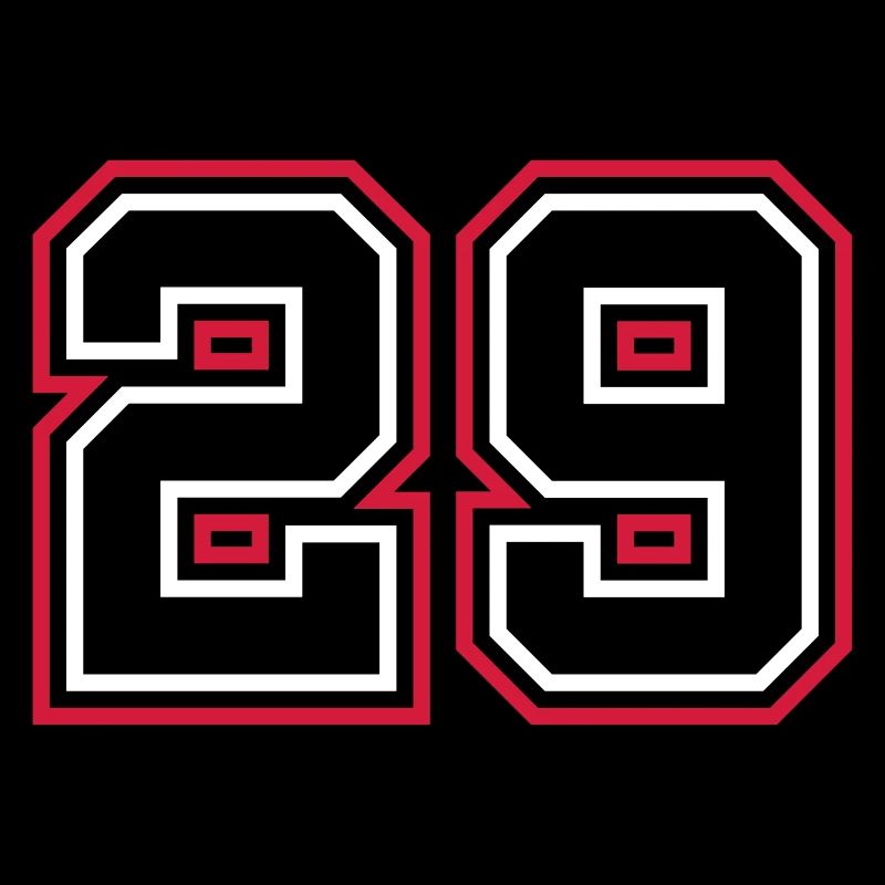 29 Number number