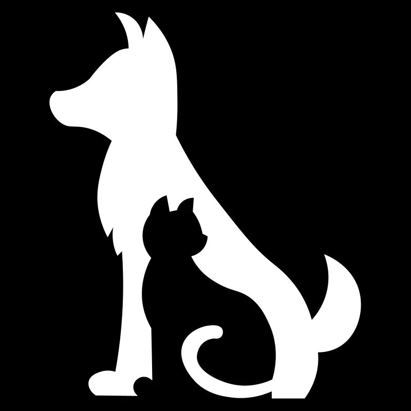 Chien simple chat / cadeau - anniversaire / chat et chien