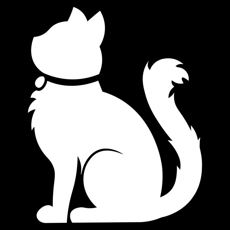 Fluffy cat / fluffy cat