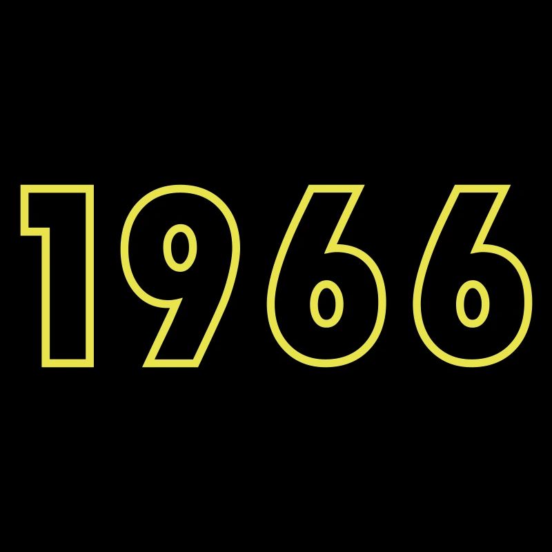 1966 Year Birthday