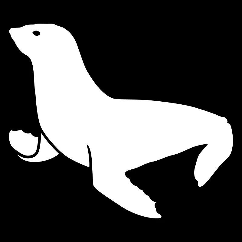 animal phoque