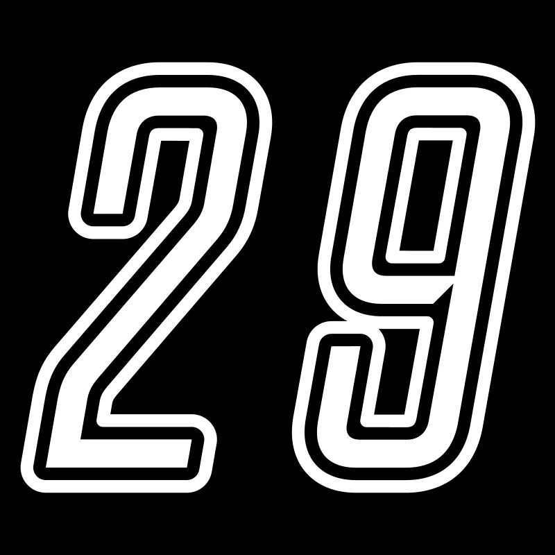 29 Numéro de numéro