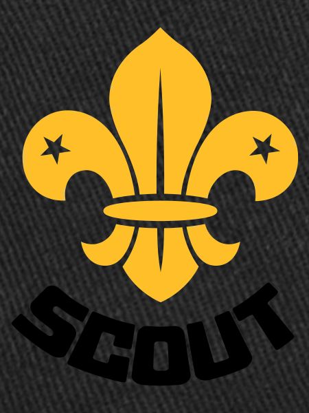 Scout - Scouting