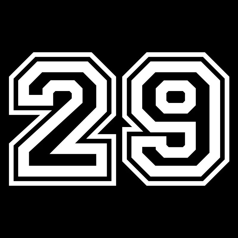 29 Number number