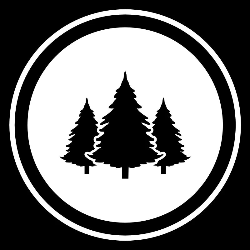 Forêt de sapins