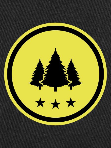 Tree Fir Forest