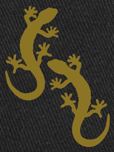 two geckos