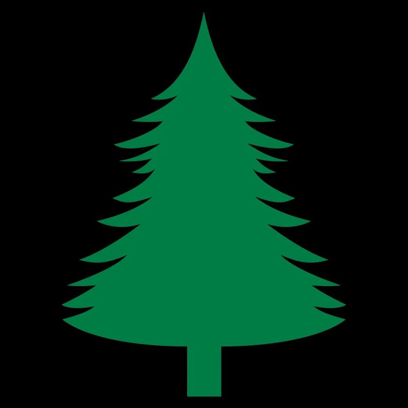 Fichte, Tanne, Wald1