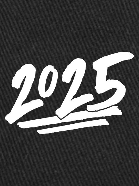 2025 year