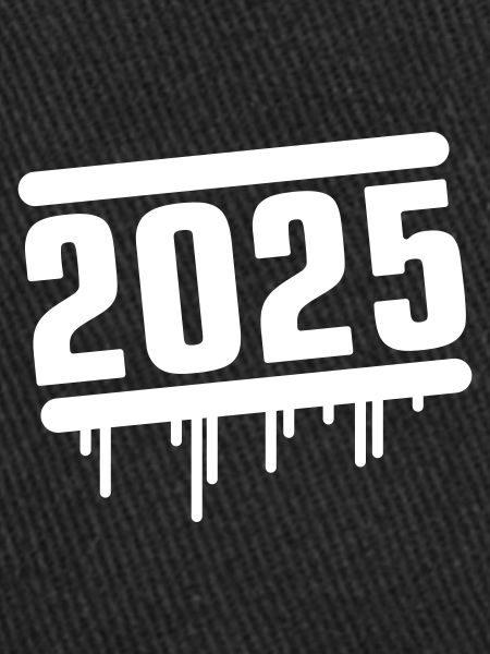 2025 year