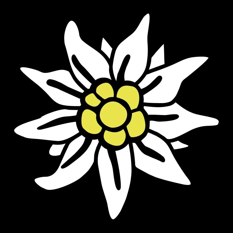 Edelweiss - - Wiesn -