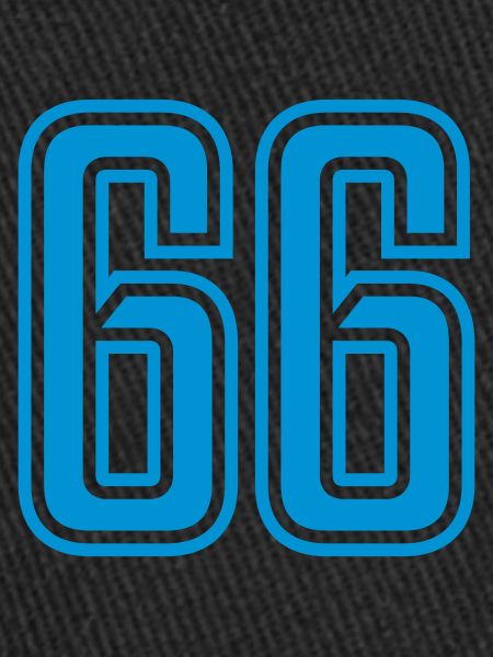 66