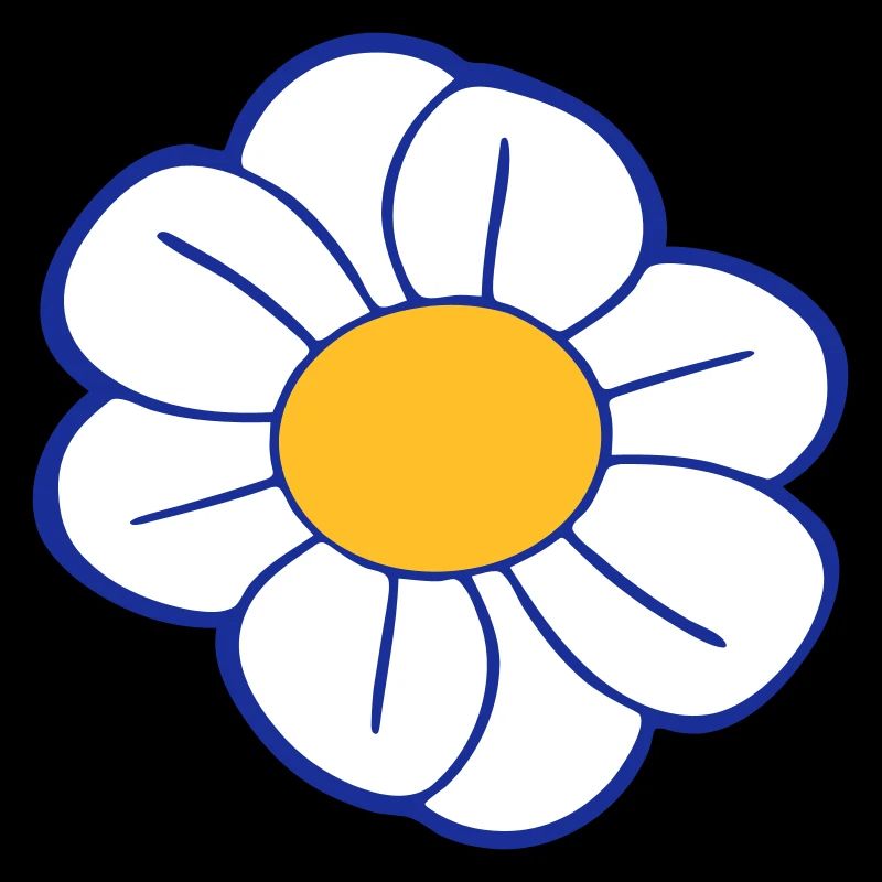 Marguerites blanches Fleurs Printemps Été Fleurs