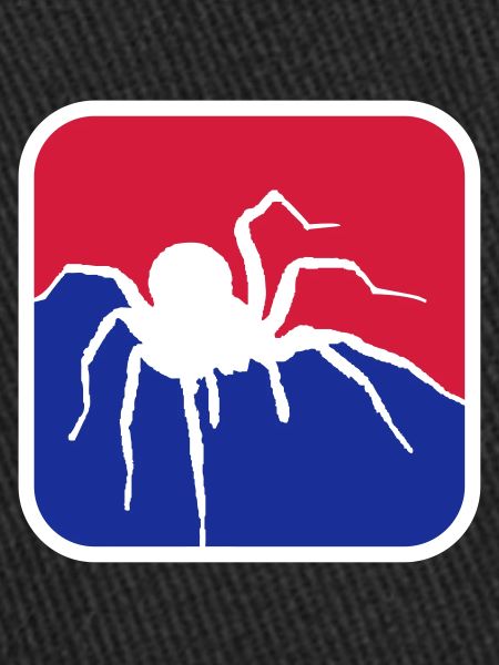 Spider Logo