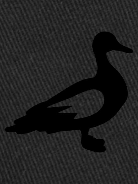 Canard Animal