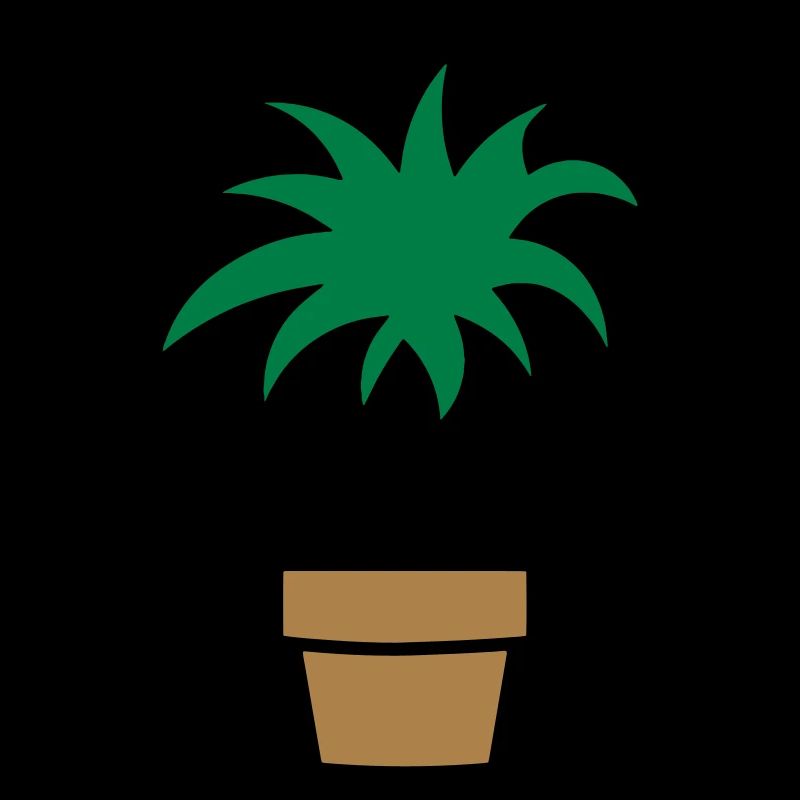 Plante plante d’intérieur plant