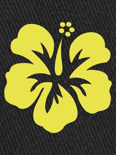 hawaii_blume