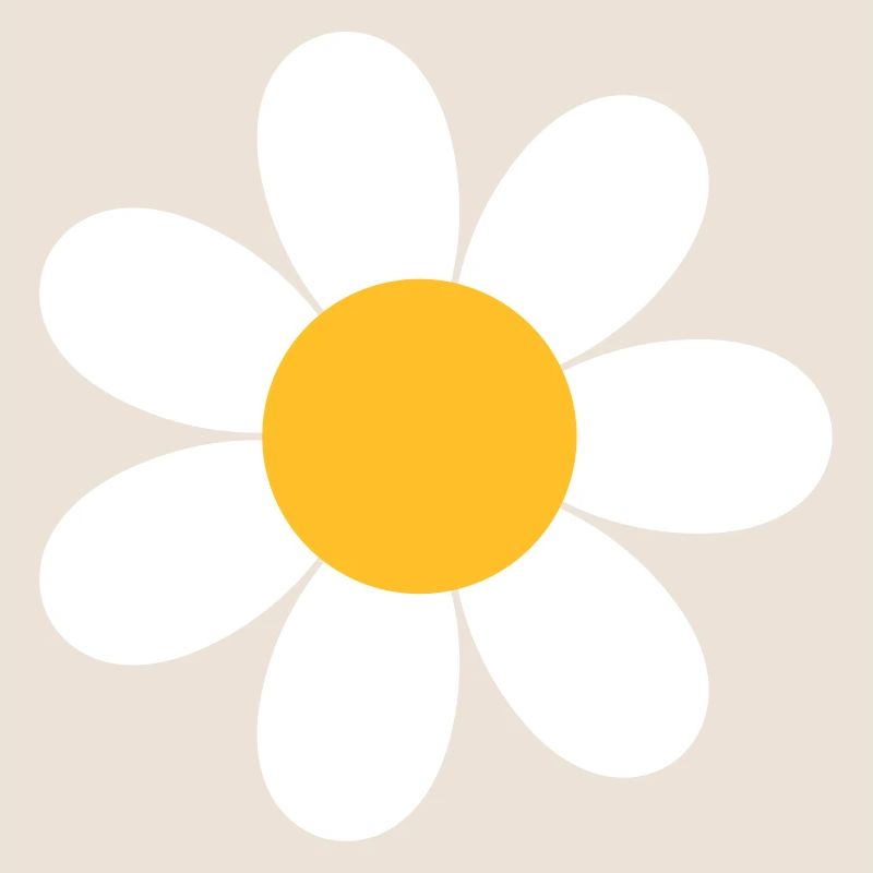 Fleur de marguerite