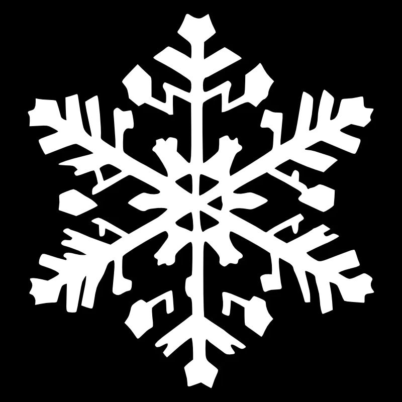 Snowflake Snow Winter Christmas Vector 10