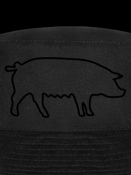 cochon