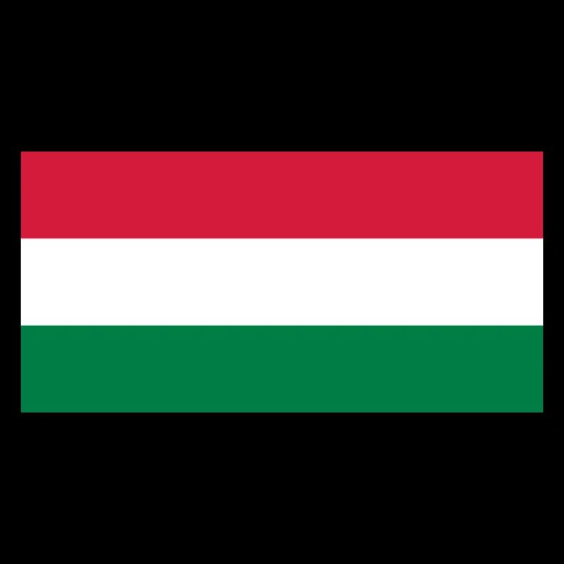 Flagge Ungarn / Drapeau Hongrie