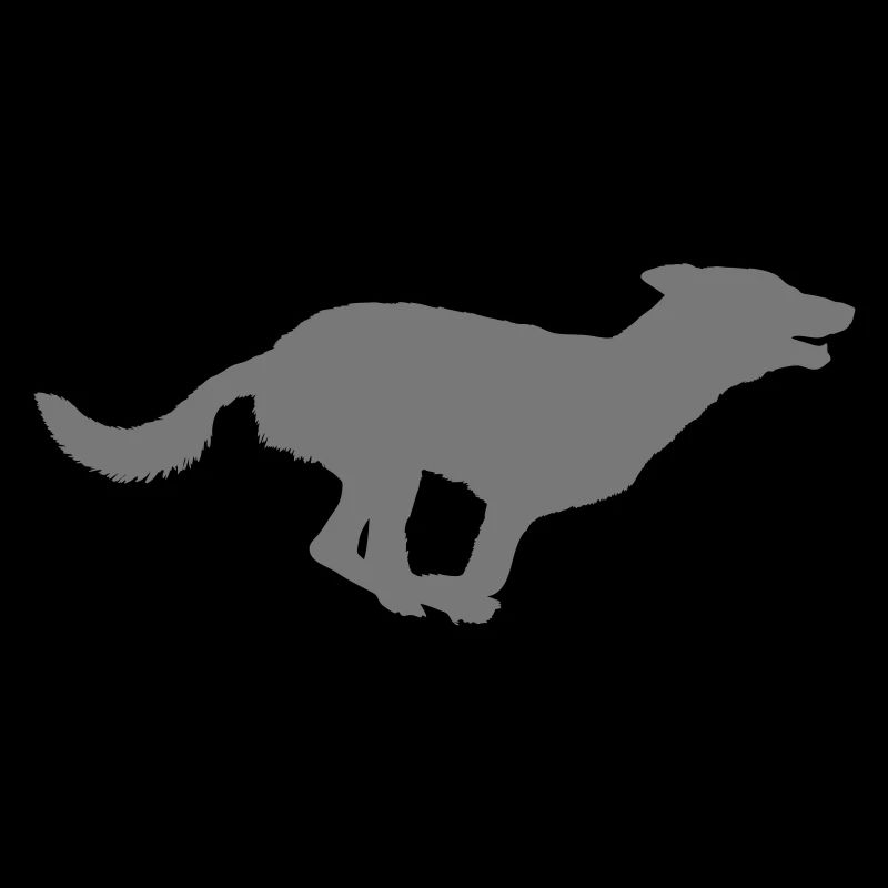 Hund Shilouette run