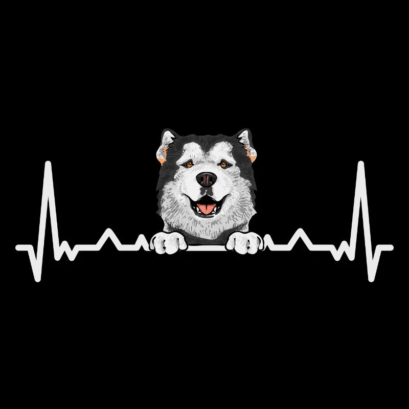 Chien Malamute d’Alaska