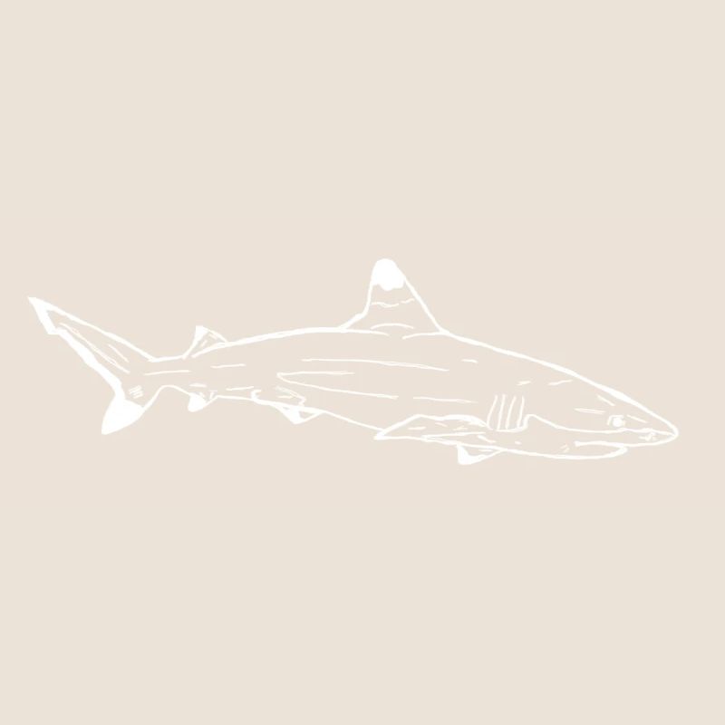 Requin