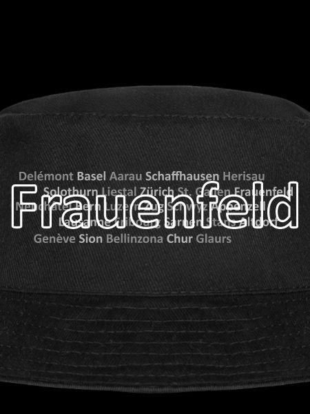 Schweizer Städte Frauenfeld