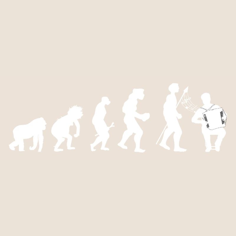 Akkordeon Evolution
