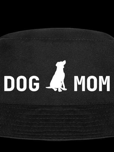 Dog Hund