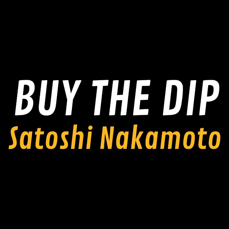 Acheter The Dip Satoshi Nakamoto