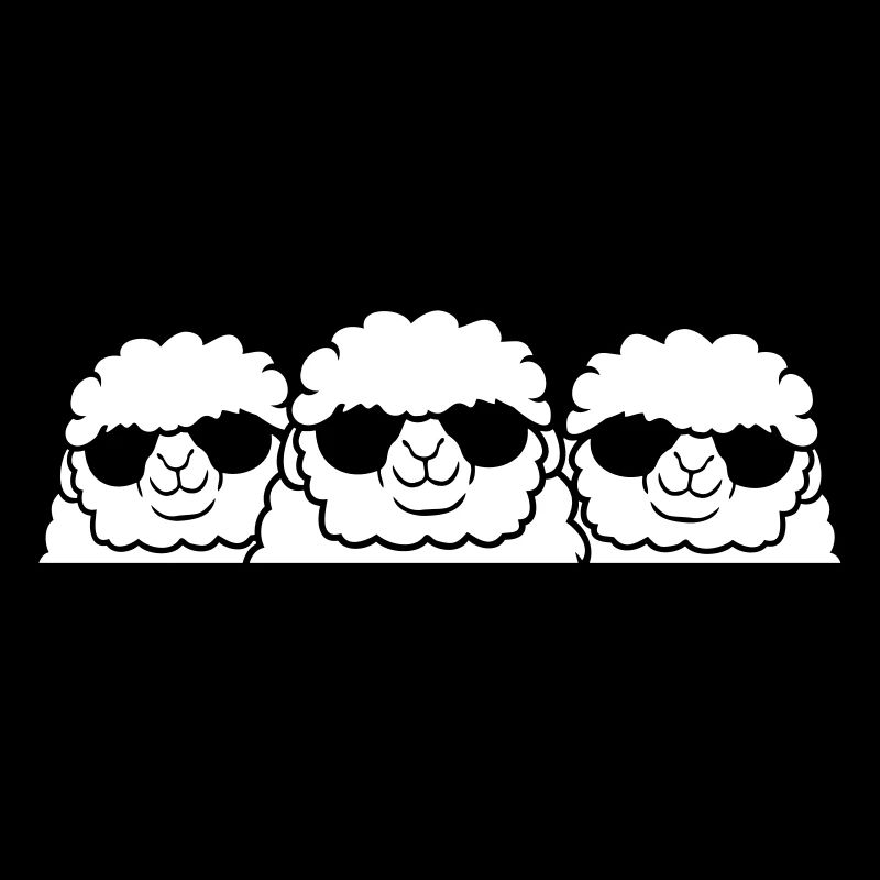 3 DJ Schafe Hinter Zaun Mauer Sonnenbrille Freunde