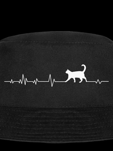 Chats Chats