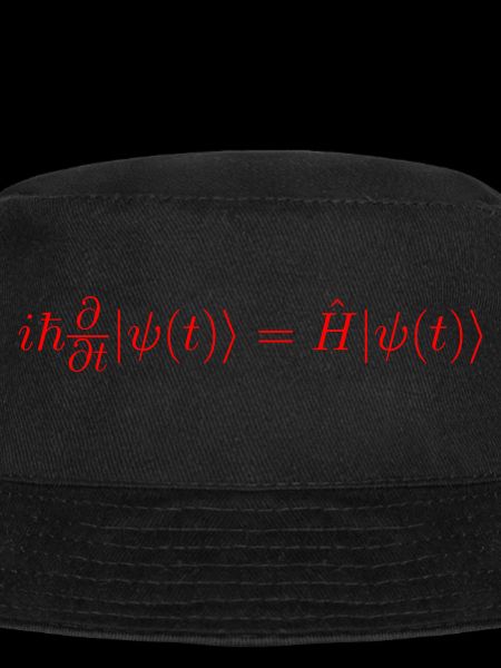 Schrödinger Gleichung; Wellenfunktion