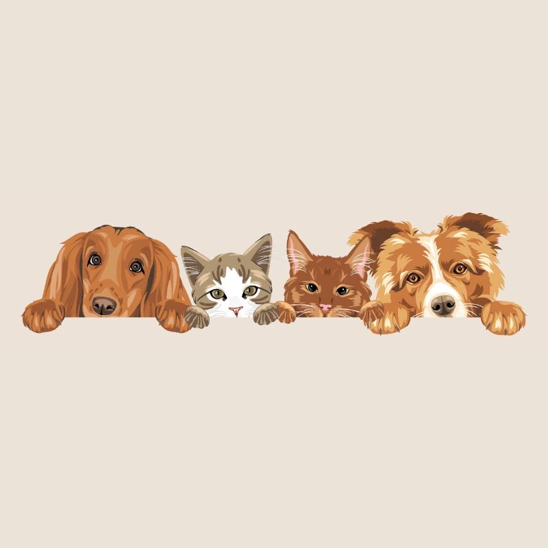 Jeter un coup d’œil à deux chats mignons et deux chiens