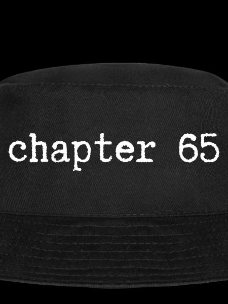 chapter 65 Birthday